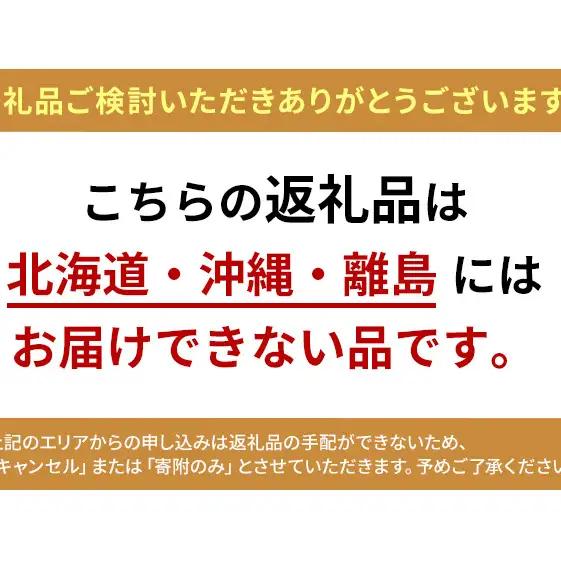 越冬 ぶどうシャイン マスカット 1房 約600g  岡山県産 シャインマスカット