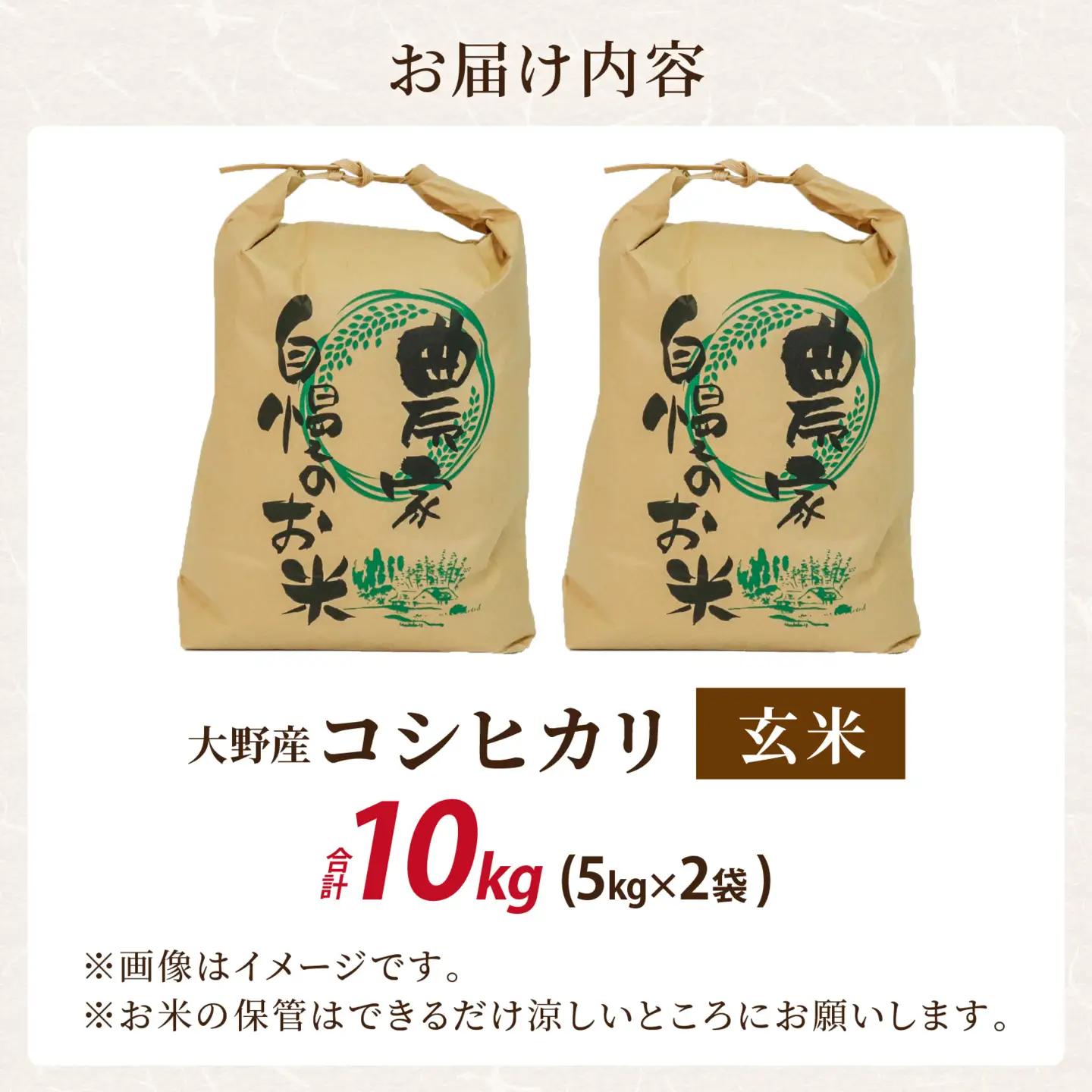 新米 こしひかり 玄米 10kg 新米 【令和8年産 先行予約】