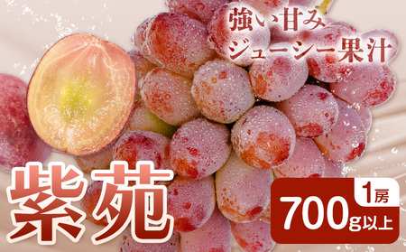 紫苑 700g以上1房【配送不可地域あり】　ぶどう