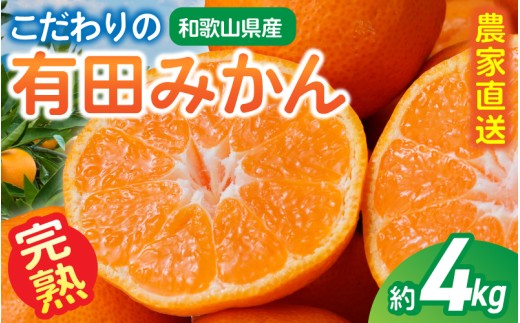 【訳あり・ご家庭用】こだわりの有田みかん 約4kg＋150g(傷み補償分)  光センサー選別 農家直送【2026年10月中に順次発送予定】 / みかん ミカン 有田みかん 温州みかん 柑橘 フルーツ 果物 くだもの 旬 人気 みかん先行予約 家庭用 和歌山【CE-nuk148D-10】