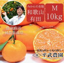 【ふるさと納税】【平武農園より農家直送！】有田みかん 10kg Mサイズ《秀品》 蛍飛ぶ町から旬の便り【ミカン 蜜柑 柑橘 温州みかん 有田みかん 和歌山 有田 田口】