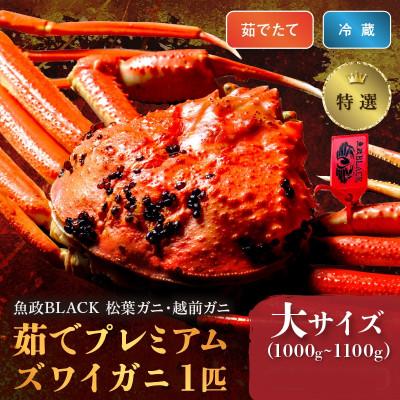 ふるさと納税 京丹後市 茹でプレミアムズワイガニ(松葉・越前)魚政BLACK　特選　大サイズ　1匹(11〜12月発送)