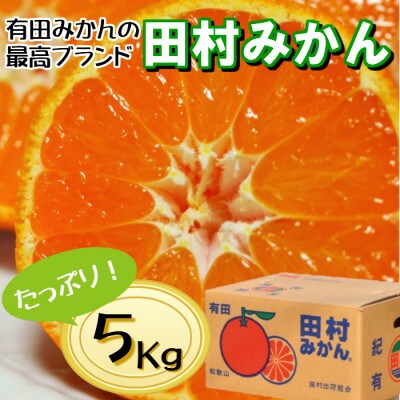 有田の高級ブランド「田村みかん」秀品5kg【11月発送分】S～Lサイズ【1351484】
