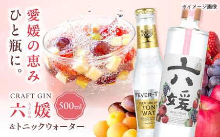 【お中元対象】クラフトジン 道後ジン 六媛 500ml×1本・トニック 200ml×2本 酒 BJAI002
