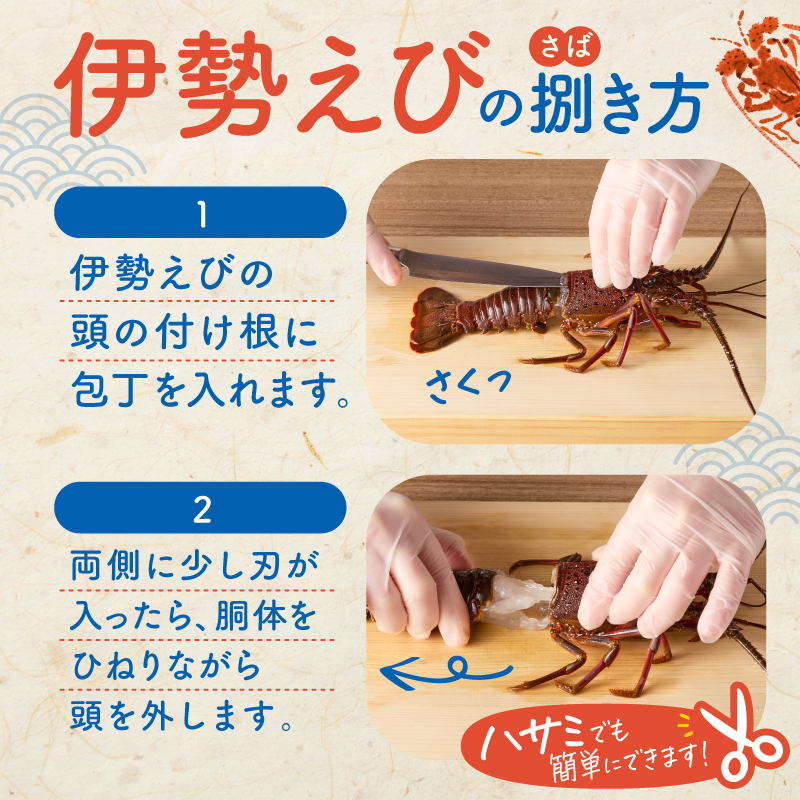【天然】甘み凝縮！活〆冷凍伊勢海老900ｇ以上（300ｇ×3尾） 