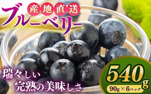 【堀内果実園】奈良県産 特別栽培 ブルーベリー90gx6Pセット | フルーツ 果物 くだもの ベリー 低農薬 季節限定 おすすめ 健康 産地直送 こだわり 奈良県 五條市