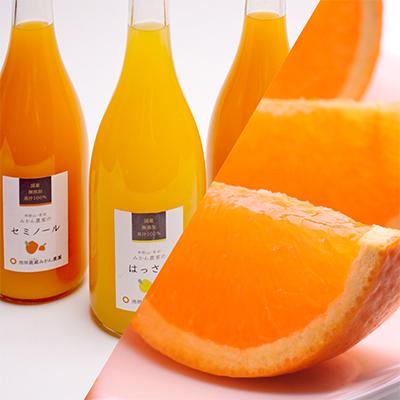 ふるさと納税 広川町 【発送月固定定期便】季節の柑橘定期便B【フルーツ定期便】【和歌山県有田】全12回 |  | 03