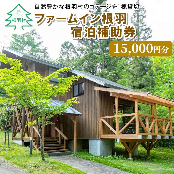 星空が自慢！BBQ 温泉 釣りプラン有★根羽ヴィレッジ 宿泊補助券 (15,000円分) コテージ 旅行