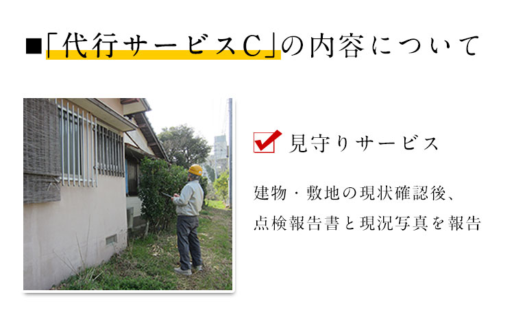 ふるさと親孝行代行サービスC---sn_silvercenter_21_20000_c---