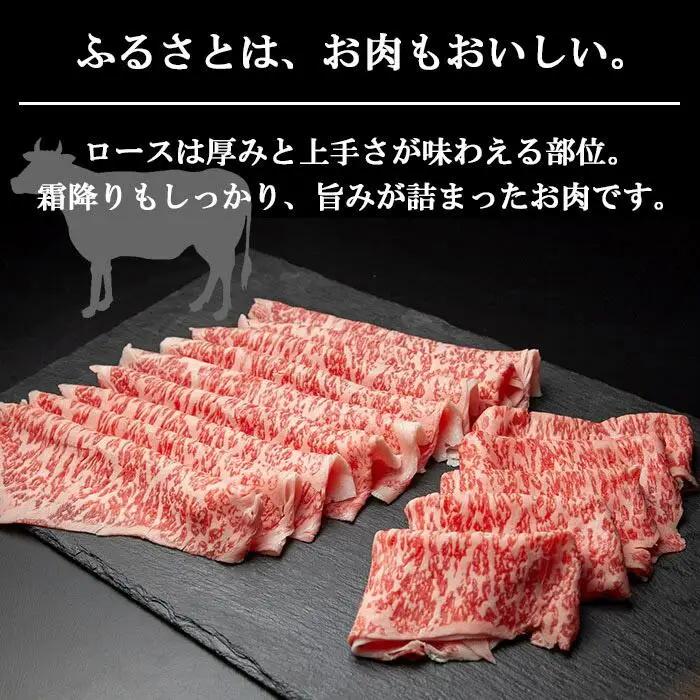 新潟牛 南魚沼産 にいがた 黒毛和牛 ロース スライス 500ｇ 新潟県 南魚沼市｜チルド