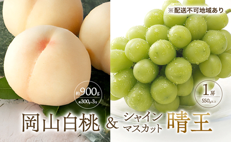 桃 ぶどう 2026年 先行予約 白桃 3玉 合計約900g （1玉約300g） シャインマスカット 晴王 1房 550g以上 もも 葡萄 詰合せ 岡山 国産 フルーツ 果物 ギフト 桃茂実苑