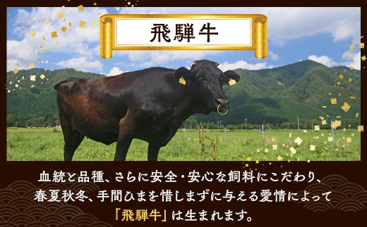 飛騨牛 ローススライス（すきやき・しゃぶしゃぶ用）約300g ※北海道・沖縄・離島への配送不可