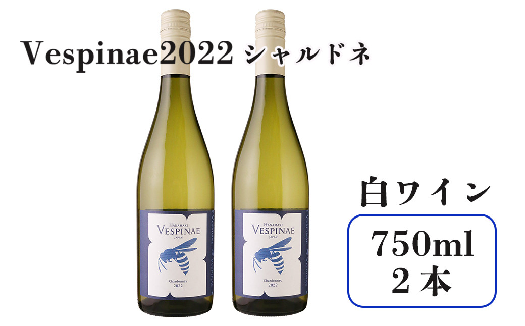 
Vespinae 2022 シャルドネ 750ml 2本セット （ベスピナエ2022シャルドネ） 白ワイン【1701】
