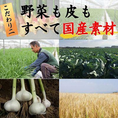 ふるさと納税 南九州市 国産素材にこだわった鹿児島黒豚餃子120個 |  | 03