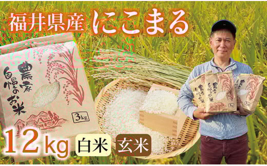 〈先行予約・新米〉にこまる 12kg(3kg×4袋) ／令和7年 福井県産 （白米）2025年12月発送 少量サイズ便利