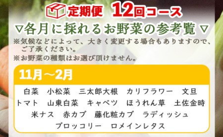 定期便12回コース 高知県香南市産 旬のお野菜詰合せ(10～13品目) - やさい おまかせ セット 土佐野菜 新鮮 高知県 香南市 Wpr-0010