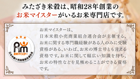 茨城県 筑西市産 コシヒカリ 10kg ( 5kg × 2袋 ) 令和7年産 新米 三ツ星 マイスター 米 コメ こしひかり 単一米 精米 [CH004ci]
