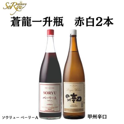ふるさと納税 甲州市 蒼龍葡萄酒一升瓶ワイン赤白2本セット　B16652