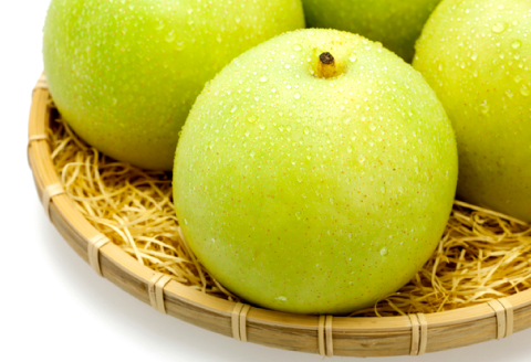 B-1279 【先行予約】青梨5kg【梨 青梨 瑞秋 5kg 先行予約 なし ナシ pear 期間限定 季節限定 果物 くだもの フルーツ お取り寄せ 特産品 島根県 益田市】