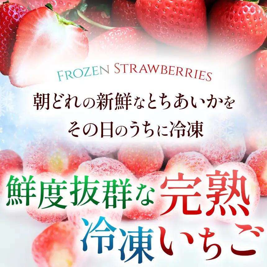  いちご 限定 訳あり 定期便 選べる 完熟 冷凍 とちあいか イチゴ  苺 フルーツ 果物 1kg 2kg 3kg 訳あり 不揃い | 選べる 冷凍  スイーツ ジャム スムージー たっぷり 大粒 