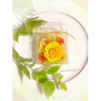 ふるさと納税 新宮町 ボトルフラワーミニ(5色から1つ選択).ZI357 |  | 03