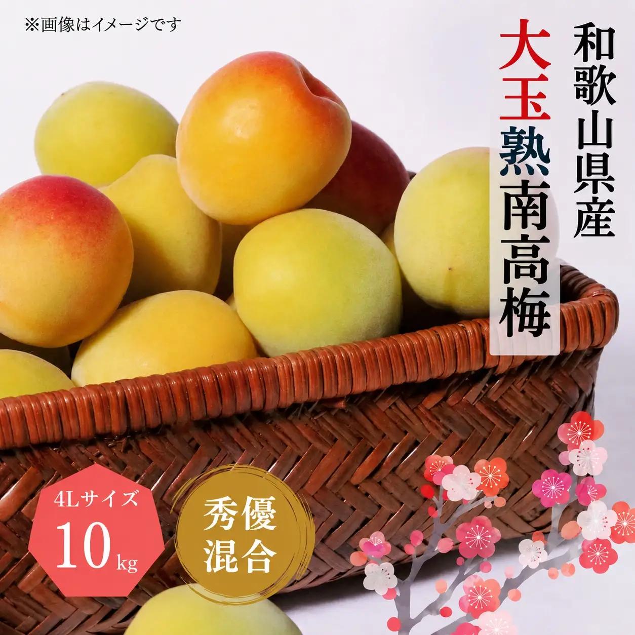 【梅干・梅酒用】 大玉 4Lサイズ 10kg 熟南高梅 秀優混合 / フルーツ 果物 人気 送料無料 和歌山 梅 完熟梅 梅干し 梅酒 ※2027年6月上旬～7月上旬頃順次発送予定 ※沖縄・離島への配送不可【art022B】