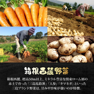 厳選素材プレミアムカレー 8食 セット カレー レトルト レトルトカレー ご当地カレー 野菜 じゃがいも 馬鈴薯 人参 タマネギ 玉ねぎ 肉 牛肉 国産牛 惣菜 レトルト食品 防災 災害 災害用品 防