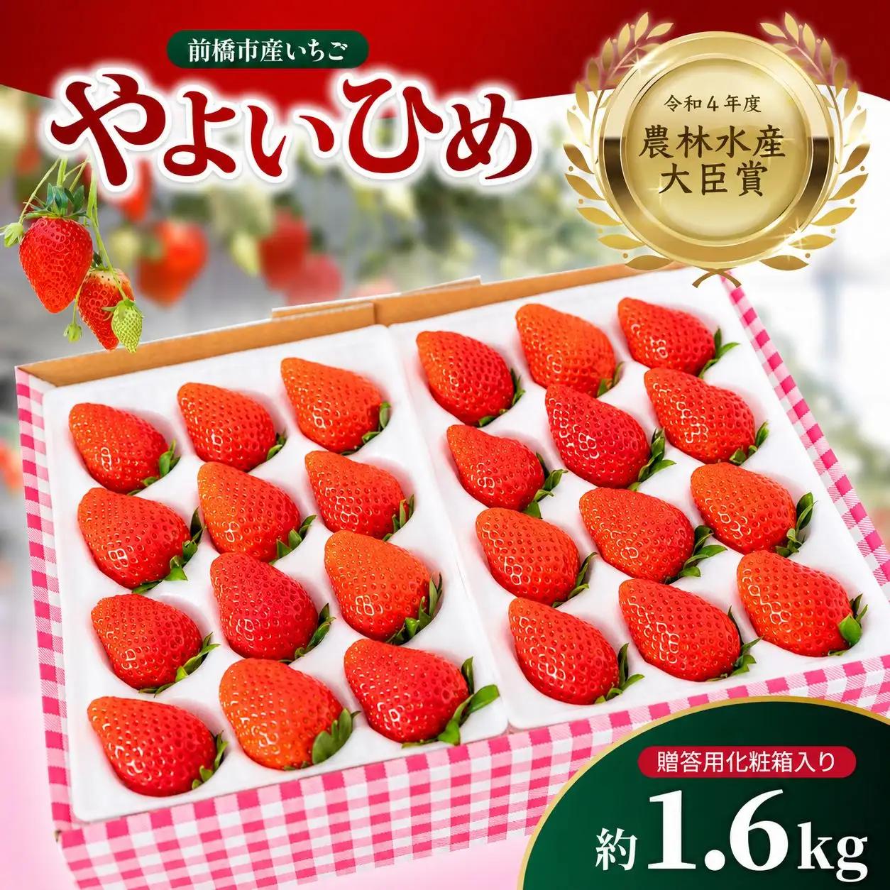 いちご やよいひめ 1.6kg 農林水産大臣賞受賞 大容量いちご