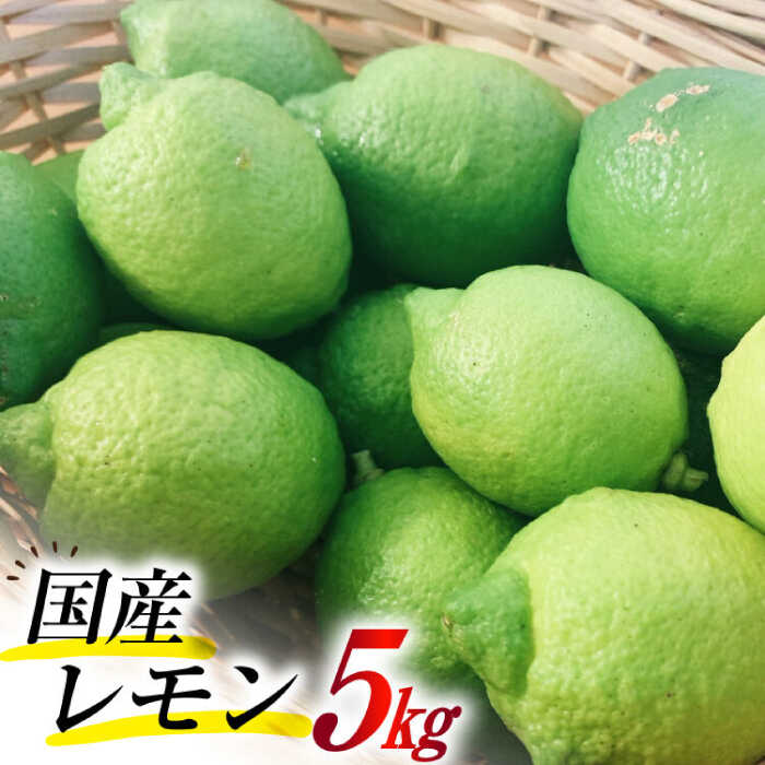 【ふるさと納税】【2025年8月下旬～発送】国産レモン 璃の香（りのか）5kg / レモン れもん 檸檬 国産 柑橘 / 南島原市 / 長崎県農産品流通合同会社 [SCB079]