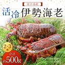 【ふるさと納税】室戸産 活冷 伊勢海老 2～3尾 合計約500g 冷凍 海鮮 魚介類 旬 期間限定 お刺身 惣菜 国産 訳あり コロナ 緊急 送料無料 tk009