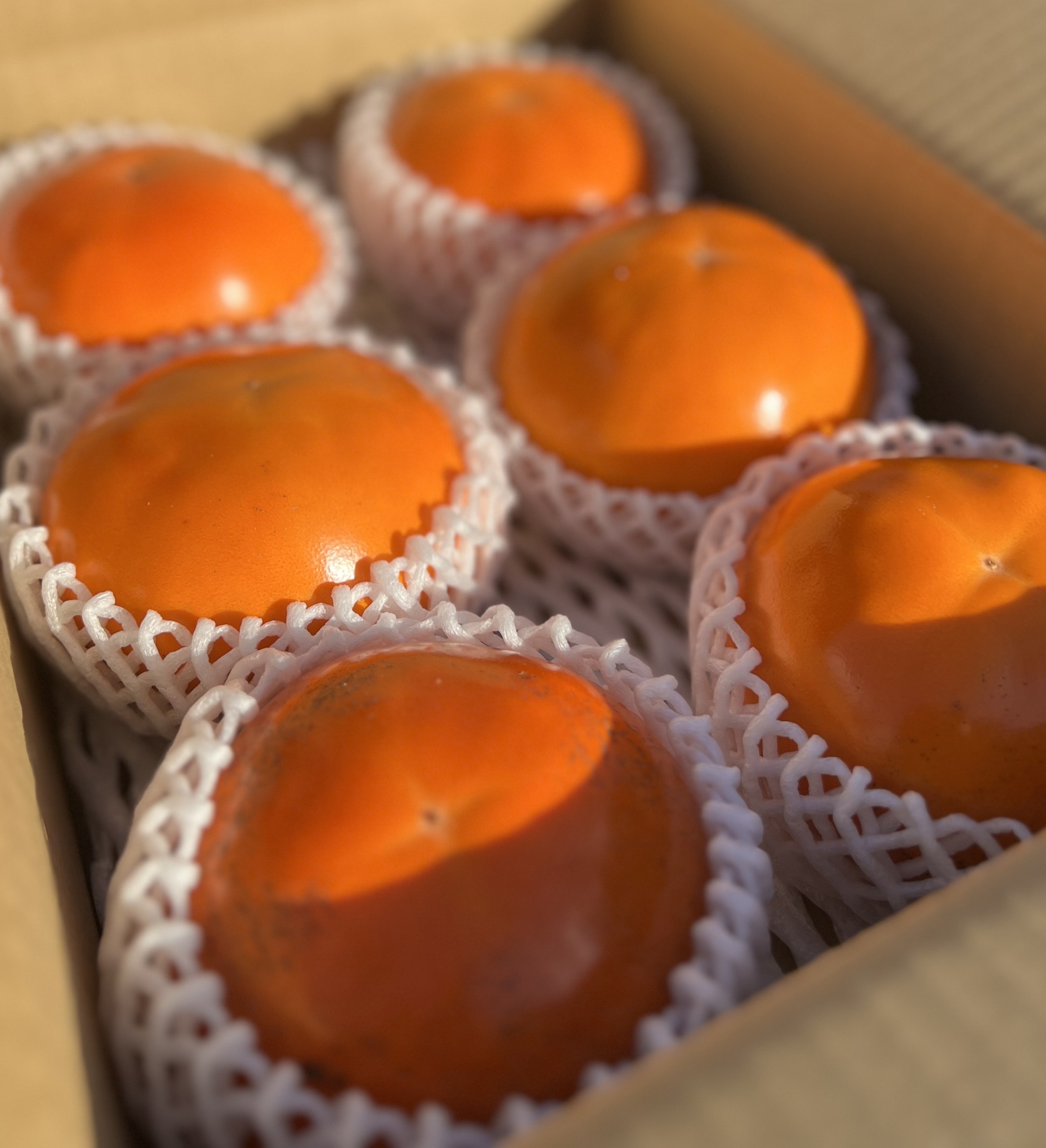 
                  鳥取県のブランド柿「輝太郎柿」 2kg
                