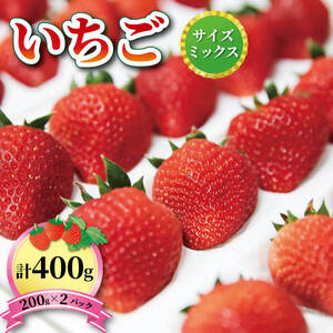 いちご 1種 400g ( 200g × 2 )  6?12月お届け 苺 果物 くだもの フルーツ おやつ ストロベリー strawberry 岩手県 大船渡市