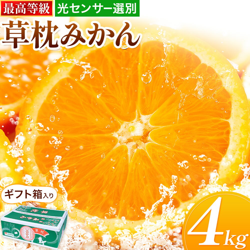 【ふるさと納税】草枕みかん 約4kg 《11月上旬-12月上旬頃出荷》熊本県 玉名郡 玉東町 フルーツ 柑橘 みかん ミカン 草枕 デザート 送料無料