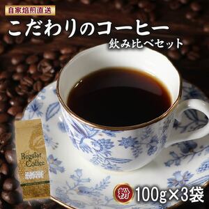 コーヒー粉 100g×3袋 ロイヤルブレンド マウンテンブレンド 今月のスペシャルティ珈琲 の 詰め合わせ セット サン珈琲 自家焙煎 コーヒー 粉 ドリップコーヒー レギュラーコーヒー ブレンドコーヒー 珈琲 焙煎 直送 大阪府 松原市