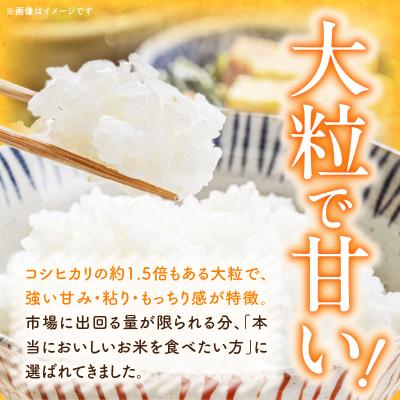 ふるさと納税 小牧市 R7年産「いのちの壱」(5kg)<農家直送> [208K09] |  | 01