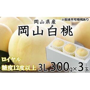 2026年 岡山   白 桃   ロイヤル 3玉×約300g（3Lサイズ）JAおかやま（早生種・中生種） ｜ 桃　