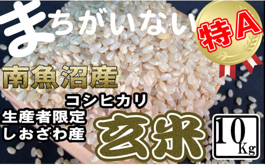 玄米 生産者限定 南魚沼しおざわ産コシヒカリ10Kg