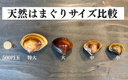 はまぐり 500g×4袋 ハマグリハマグリハマグリ 岬だより