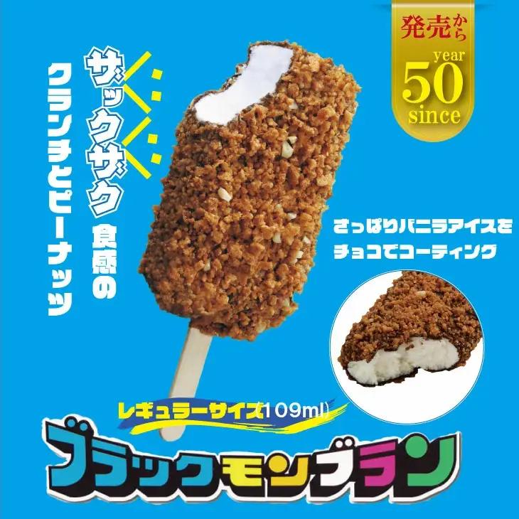 竹下製菓 ブラックモンブラン30本セット アイス デザート 冷凍 スイーツ アイスクリーム B170-016