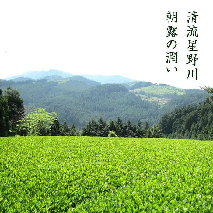 八女茶 【全6回定期便】 [ABDF026] 八女茶