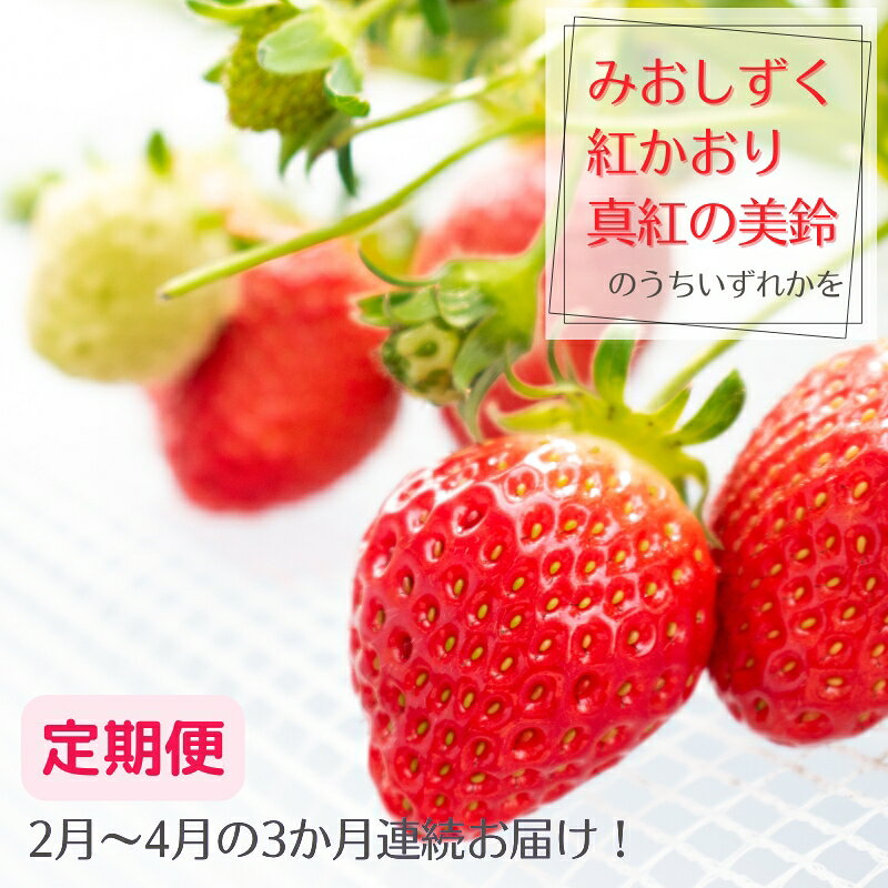 【ふるさと納税】【定期便】希少品種いちご3種定期便　※2月～4月まで3か月連続お届け　いちご イチゴ 苺 果物 フルーツ 滋賀県 米原市　お届け：2027年2月～4月