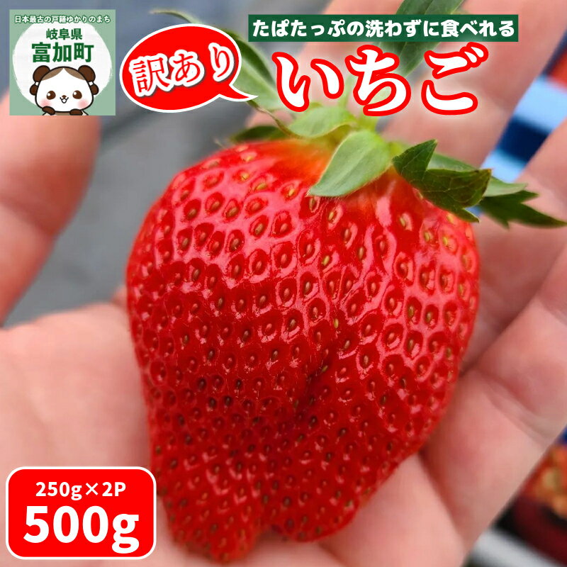 【ふるさと納税】いちご 500g 岐阜県 富加町 果物 フルーツ 苺 イチゴ 結実後 農薬不使用 人気 250g 2箱 500g たぱたっぷの洗わずに食べれるいちご