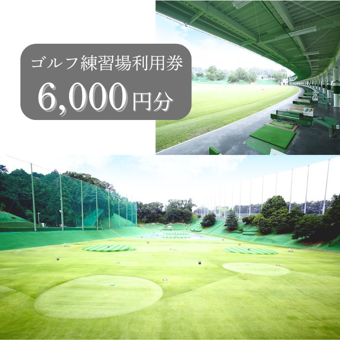 【ふるさと納税】ゴルフ練習場利用券【6,000円分】 ゴルフ練習 打ちっ放しドライバーアイアンフェアウェイ パッティンググリーン 練習 ラウンド 接待 佐保ゴルフ倶楽部 プレゼント 贈答品 お礼の品 友人 家族 カップル なら 奈良県 奈良市 H-74