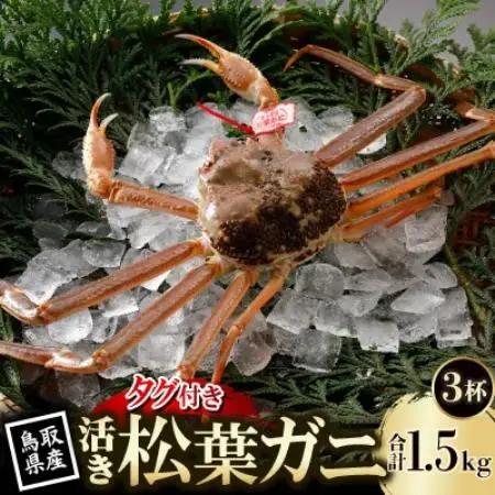 【先行予約】鳥取県産 タグ付き 活 松葉がに 500g×3杯(中村商店)2026年11月発送【配送不可地域：離島・北海道・沖縄県・東北・信越、北陸】【1653915】