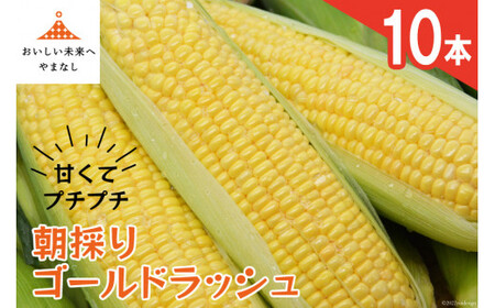 【期間限定発送】 朝採り 即出荷 甘くてプチプチ ゴールドラッシュ 10本 [しゃんと畑 山梨県 韮崎市 20745241] 野菜 とうもろこし トウモロコシ