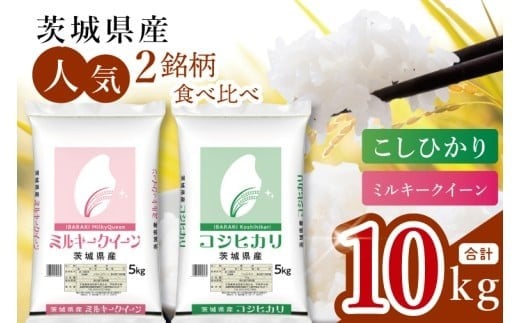 【数量限定】【人気2銘柄食べ比べ】茨城県産 コシヒカリ・ミルキークイーン　5kg×各1袋（計10kg）【お米 ごはん こしひかり ミルキークイーン おにぎり ごはん 茨城県 水戸市】(JB-33)