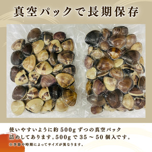 はまぐり 約2.5kg (約500g × 5P) 1個 30-60g 液体冷凍 九十九里 ﾊﾏｸﾞﾘ ﾊﾏｸﾞﾘ ﾊﾏｸﾞﾘ 蛤 蛤 蛤 蛤 蛤