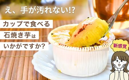 【焼き芋】カップで食べる濃厚石焼き芋 6個 (合計750g) | 焼いも 茨城県 龍ケ崎市
