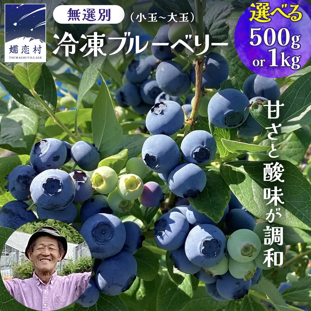 【ふるさと納税】 【 最短 7日以内 発送 】 冷凍 ブルーベリー 無選別（ 小玉 ～ 大玉 ） 500g or 1kg 選べる内容量 数量限定 国産 フルーツ スムージー 果物 くだもの 農家直送 スイーツ アイス ノーザンハイブッシュ系 ミックス