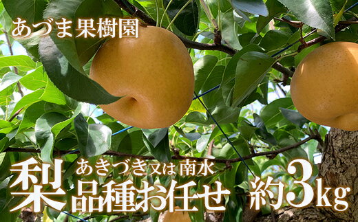 【ふるさと納税】No.1766梨　品種おまかせ　(あきづき又は南水)約3kg【2025年発送　先行予約】